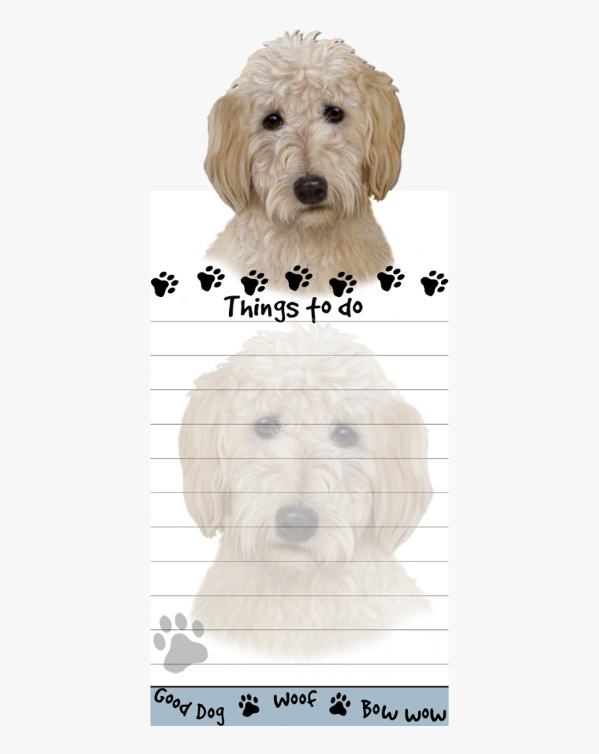 Goldendoodle, HD Png Download