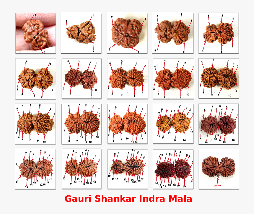 10% Off On Selected Items - Orange, HD Png Download