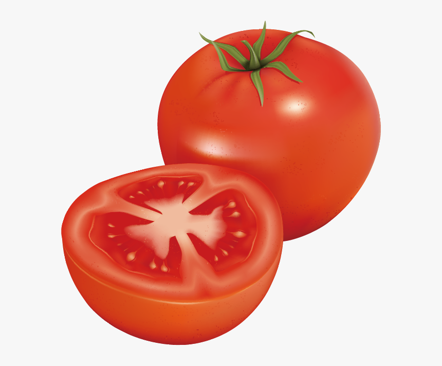 Tomato Clip Art - Dürfen Wellensittiche Tomaten Essen, HD Png Download