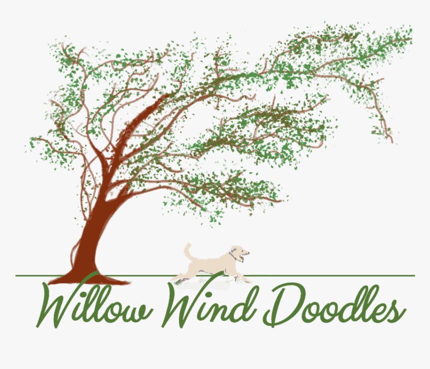 Willow Wind Doodles - Calligraphy, HD Png Download