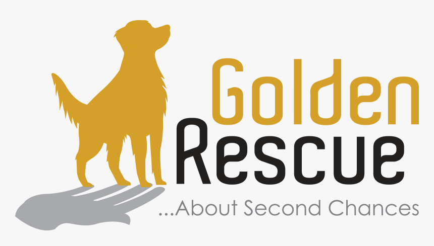 Camel, HD Png Download