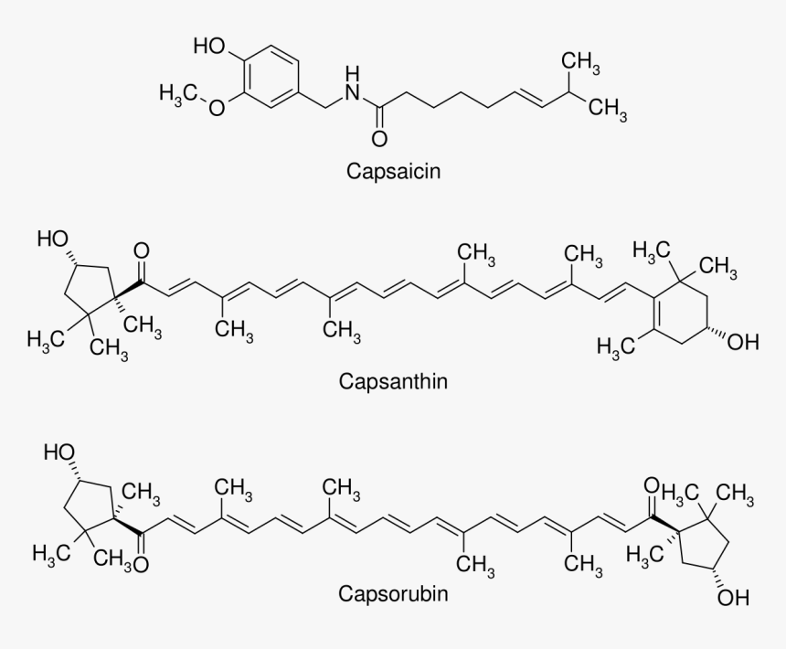 Paprika Chemical Structure, HD Png Download