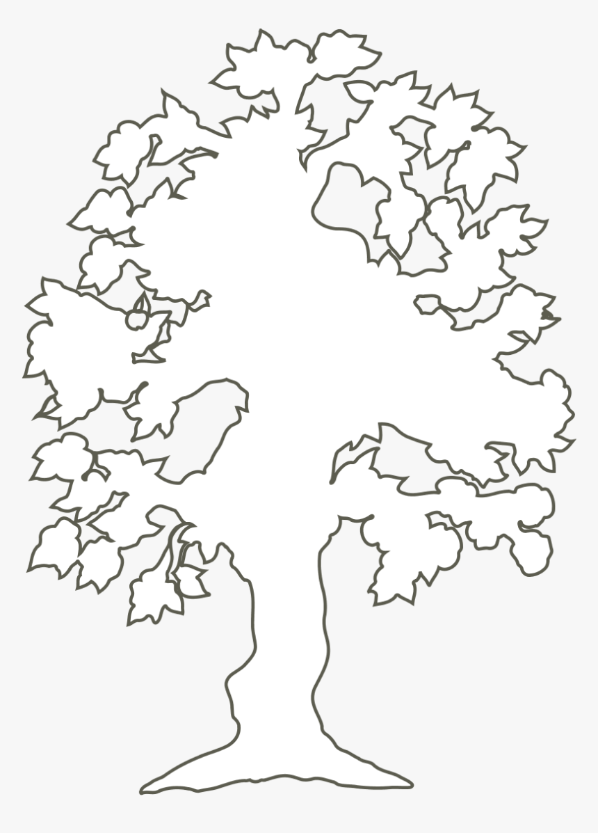 Line Art,plant,flower - White Outline Of A Tree, HD Png Download