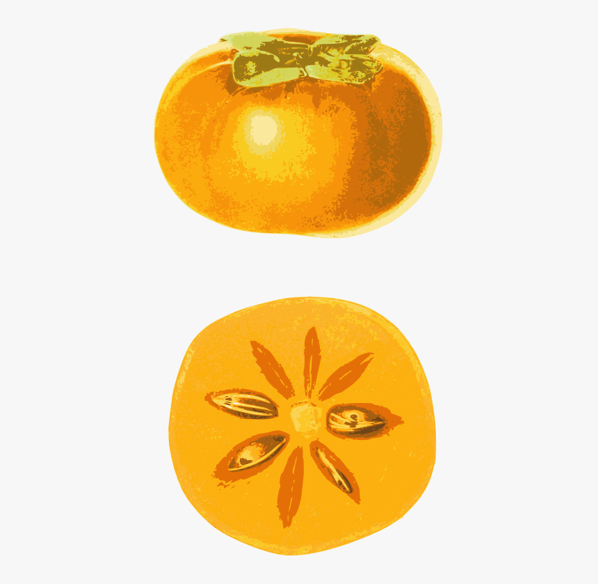 Persimmon, HD Png Download
