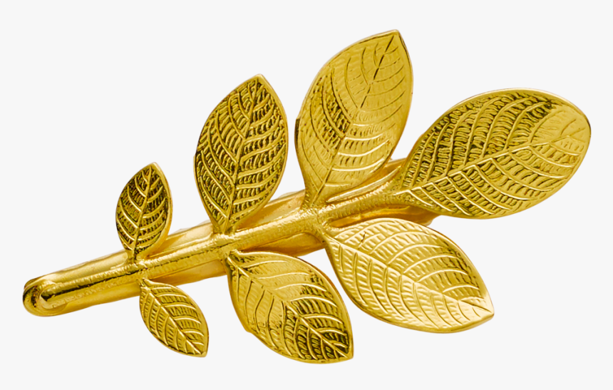 Transparent Olive Leaves Png - Amber, Png Download