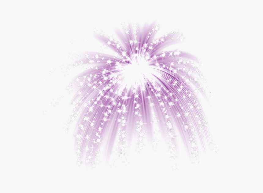 Fireworks Png Image Background - African Daisy, Transparent Png