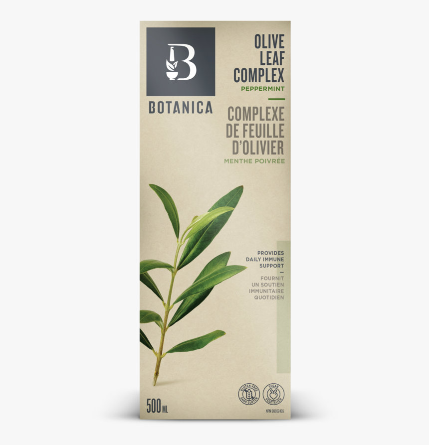 Olive Leaf, HD Png Download