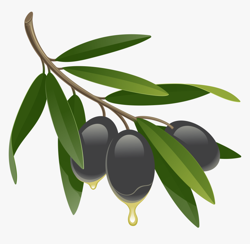 Olives Clipart, HD Png Download