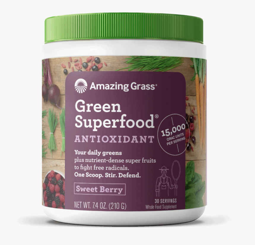 Insect, HD Png Download