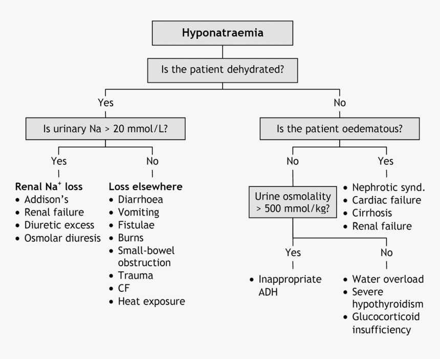 Hyponatraemia Causes, HD Png Download