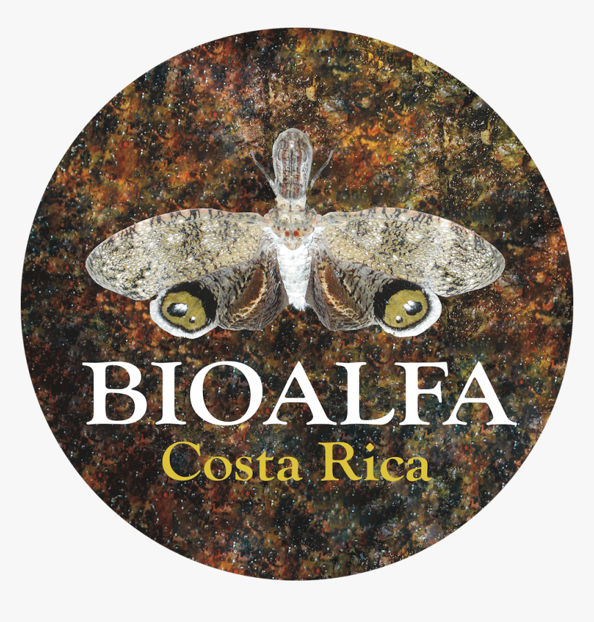 Label, HD Png Download