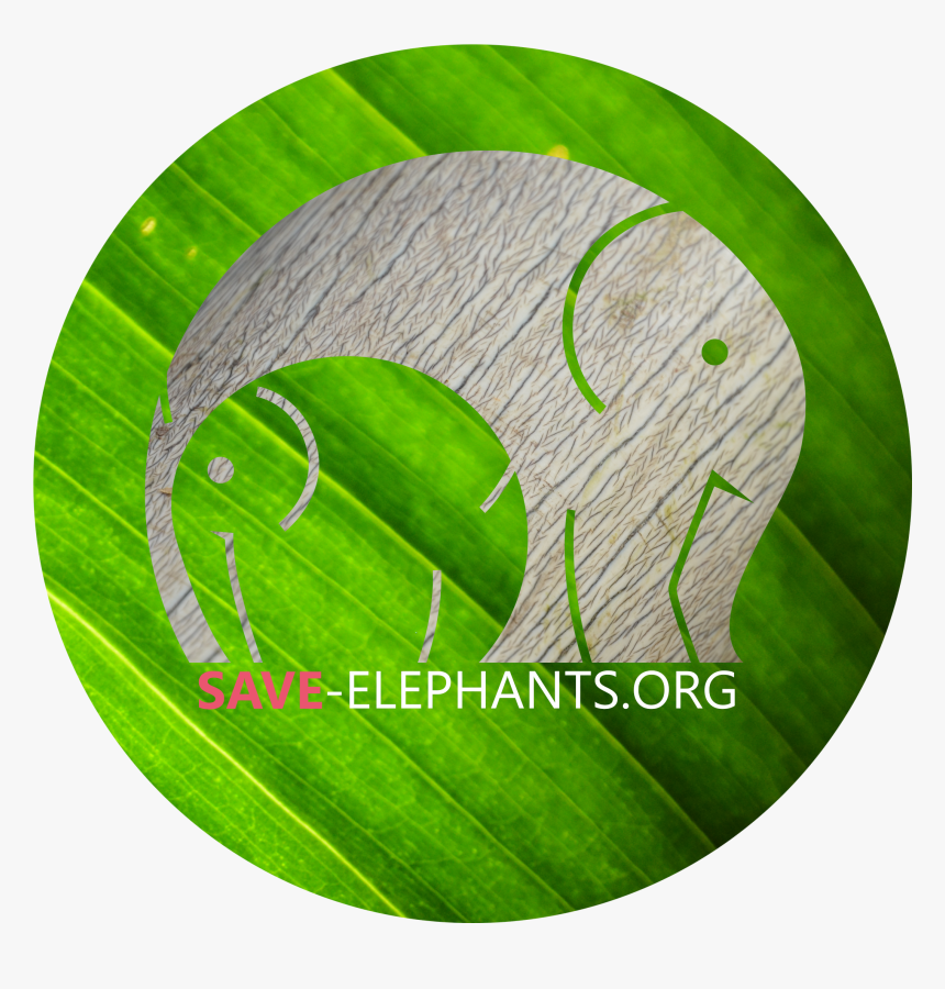 Emblem, HD Png Download