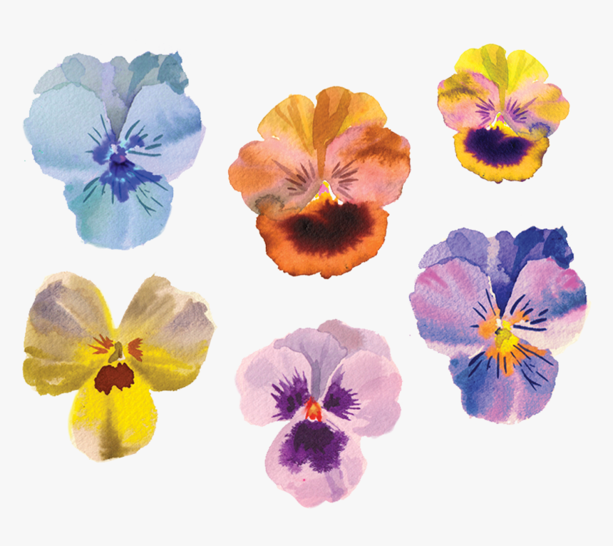 Newsletter Sign Up Box Text, HD Png Download