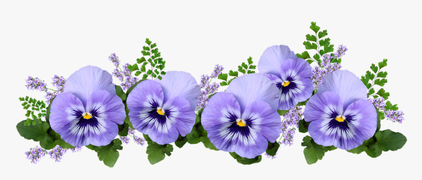 Flowers, Pansies, Lavender, Maiden Hair Fern - Pansies Png, Transparent Png