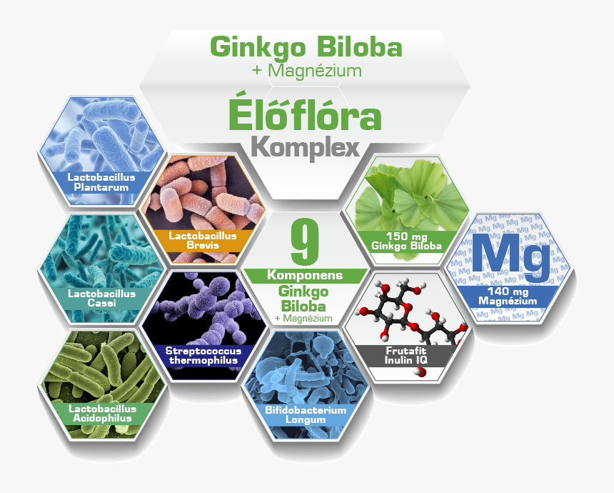 Dietary Supplement, HD Png Download