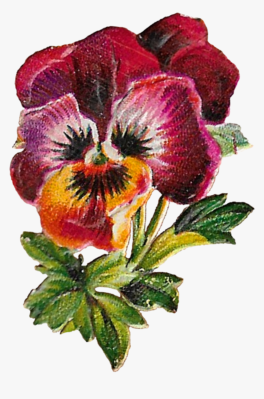 Floral Clipart Image Flower Pansy Purple Digital Download - Artificial Flower, HD Png Download