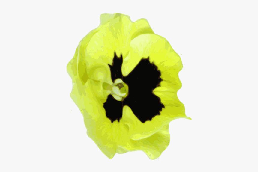 Corn Poppy, HD Png Download