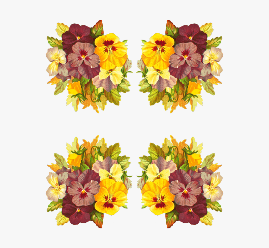 Alstroemeriaceae, HD Png Download