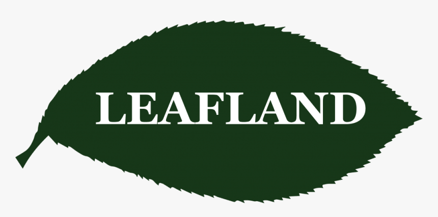 Quality Specimen Trees - India Infoline, HD Png Download