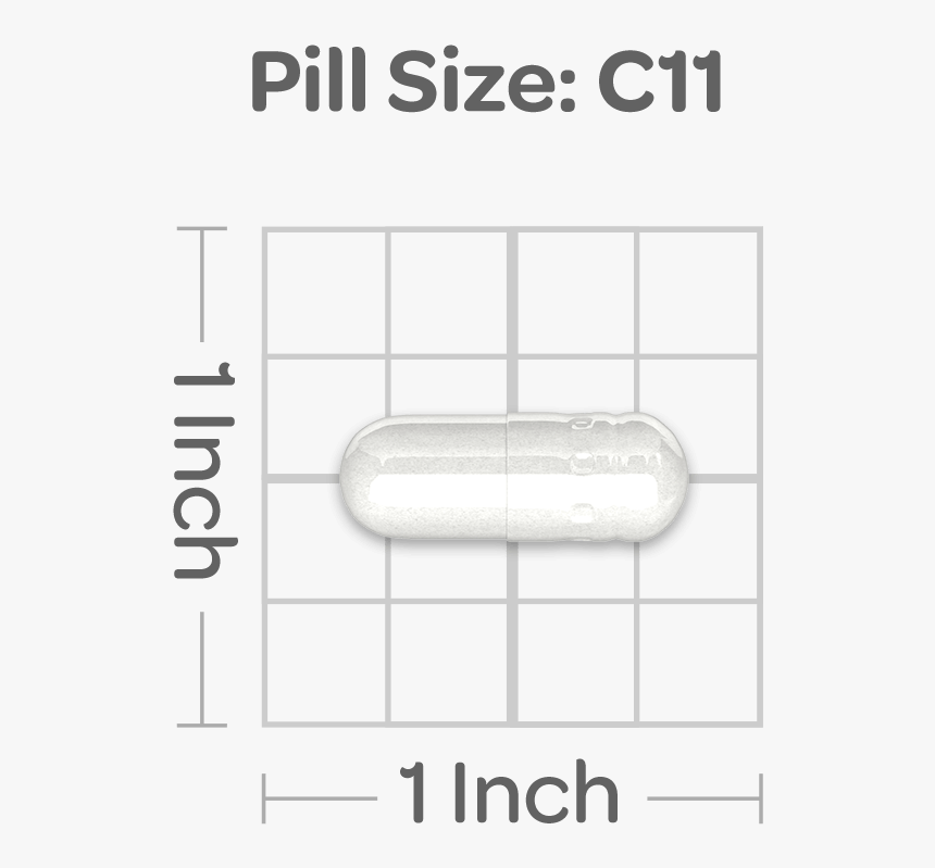 Ginkgo Biloba Standardized Extract 120 Mg - Parallel, HD Png Download