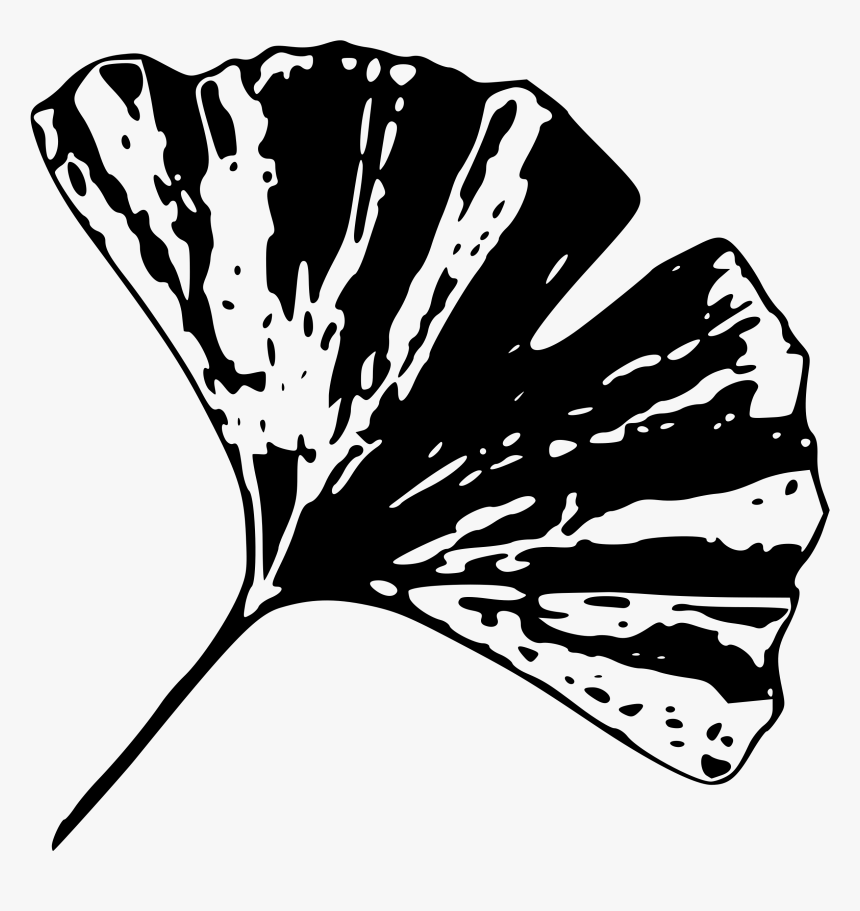 Gingko Leaf D Clip Arts - Black And White Gingko Leaf, HD Png Download