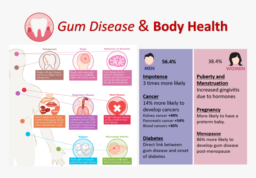 Periodontitis And Body - Periodontal Disease Body Health, HD Png Download