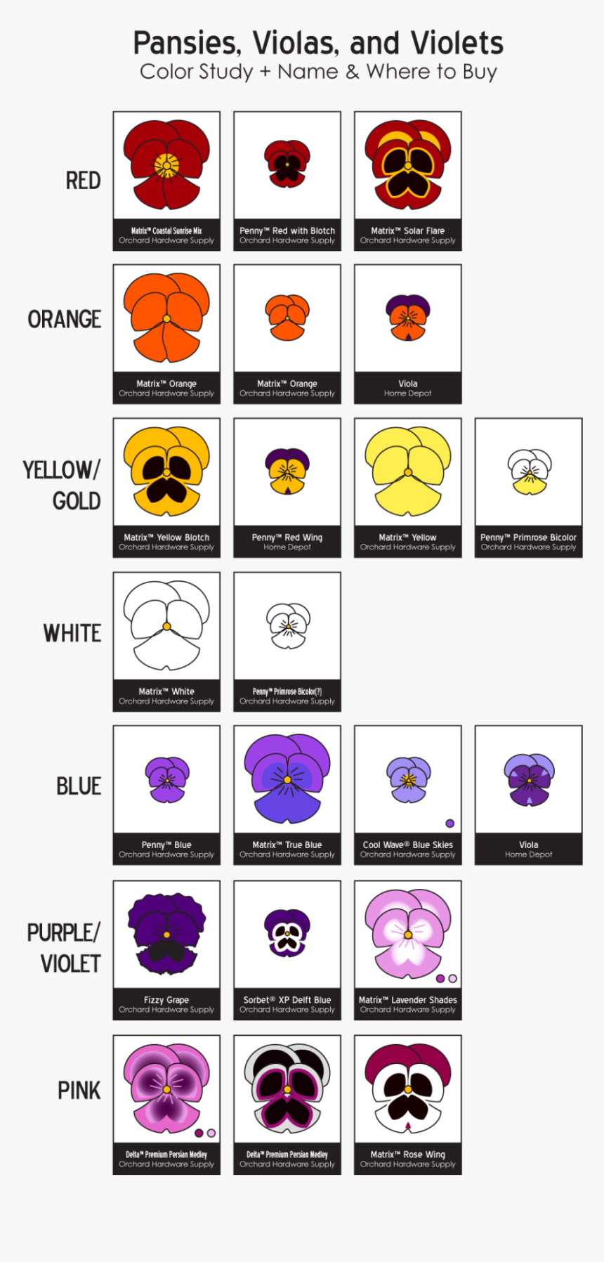 Variety Of Pansies, HD Png Download