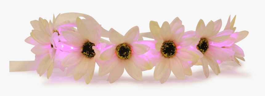 Transparent Snapchat Clipart - Artificial Flower, HD Png Download