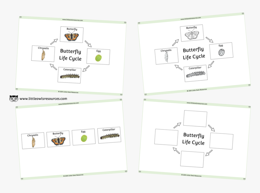 Butterfly Life Cycle Poster And Activities - Paper, HD Png Download