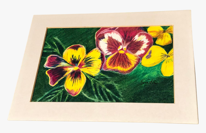 Drawing Orchid Coloured Pencil - Pansy, HD Png Download