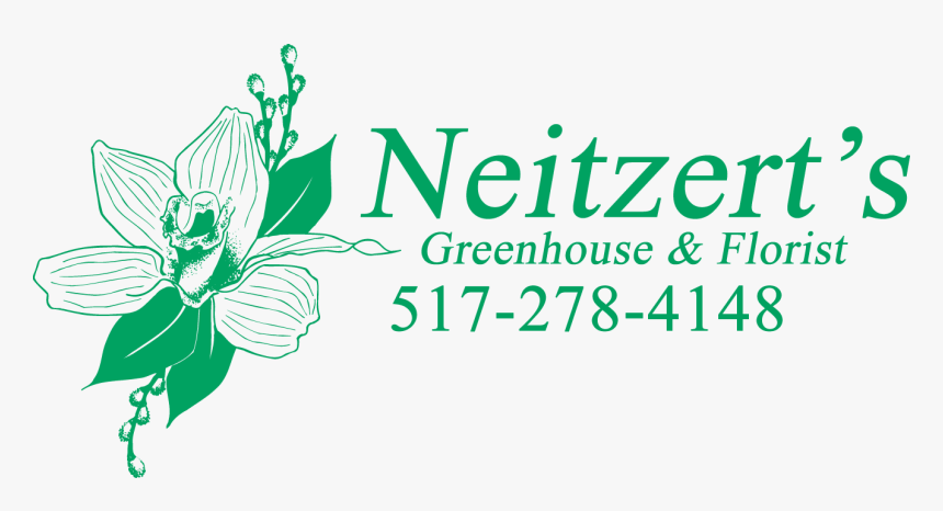 Neitzert S Greenhouse - Cypripedium, HD Png Download