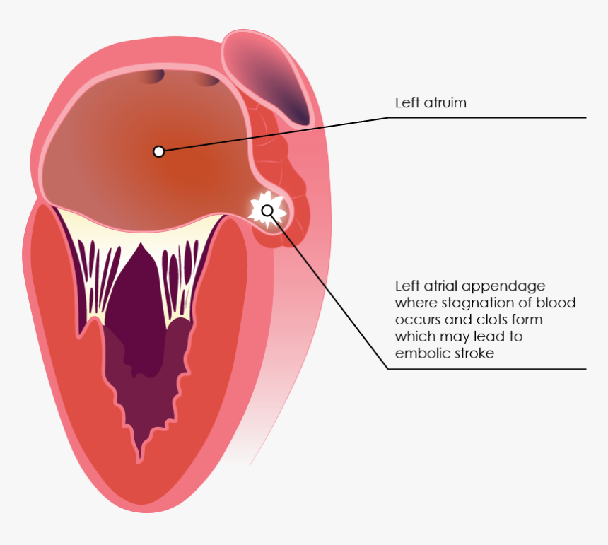 Mouth Blood Png, Transparent Png