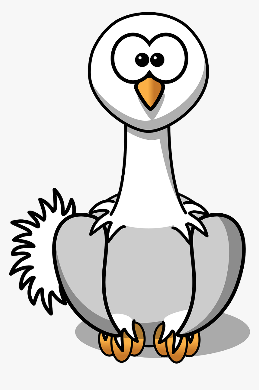 Cartoon Ostrich Sheet Page Background Wall Paper Wallpaper - Cartoon Ostrich Clipart, HD Png Download