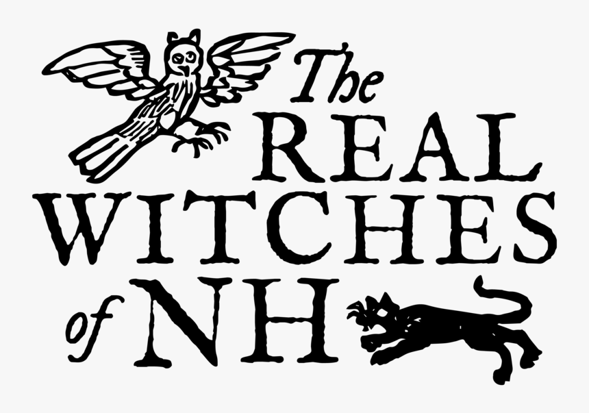 The Real Witches Of New Hampshire - Insect, HD Png Download
