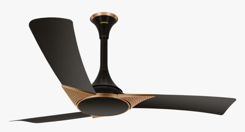 Luminous Fans, HD Png Download