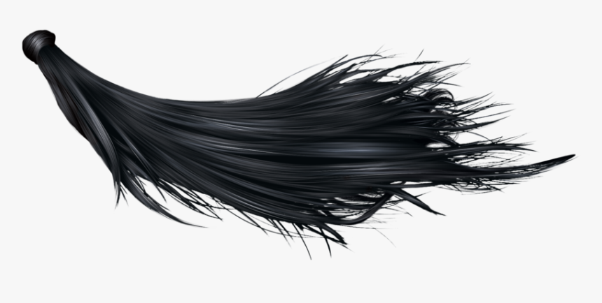 Black Long Hair Png, Transparent Png