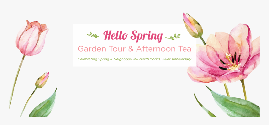 Lily, HD Png Download