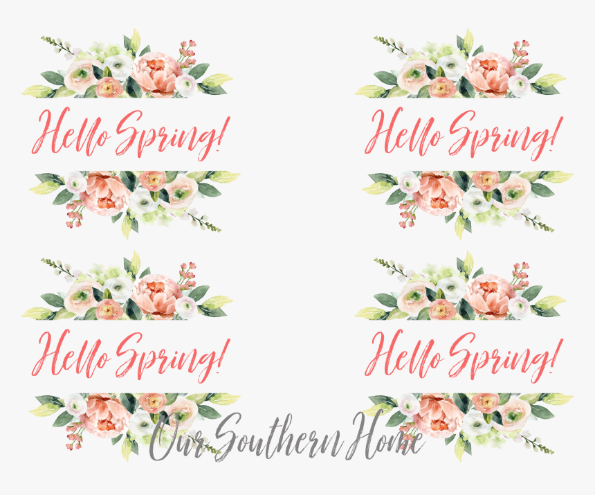 Garden Roses, HD Png Download