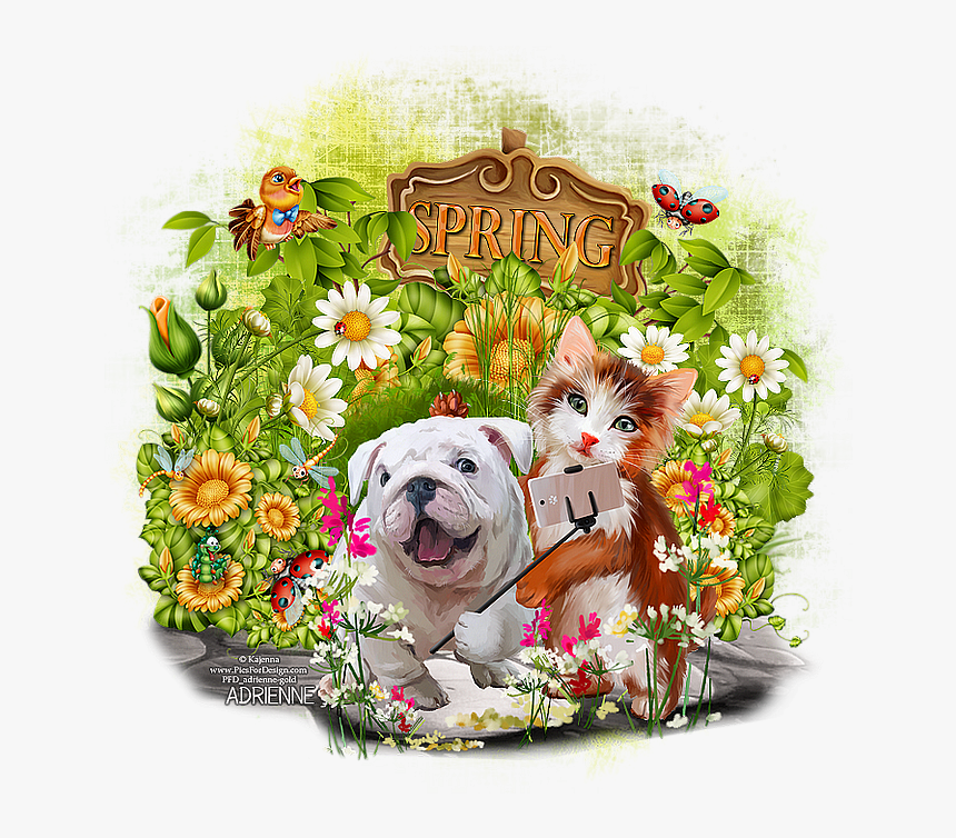 Selfie/hello Spring - West Highland White Terrier, HD Png Download