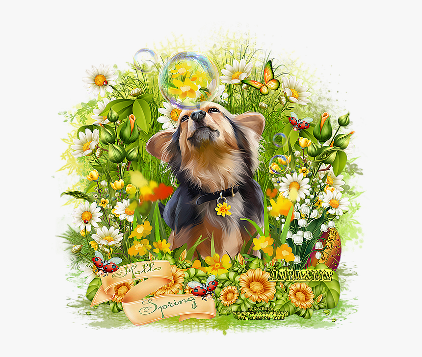 Shetland Sheepdog, HD Png Download