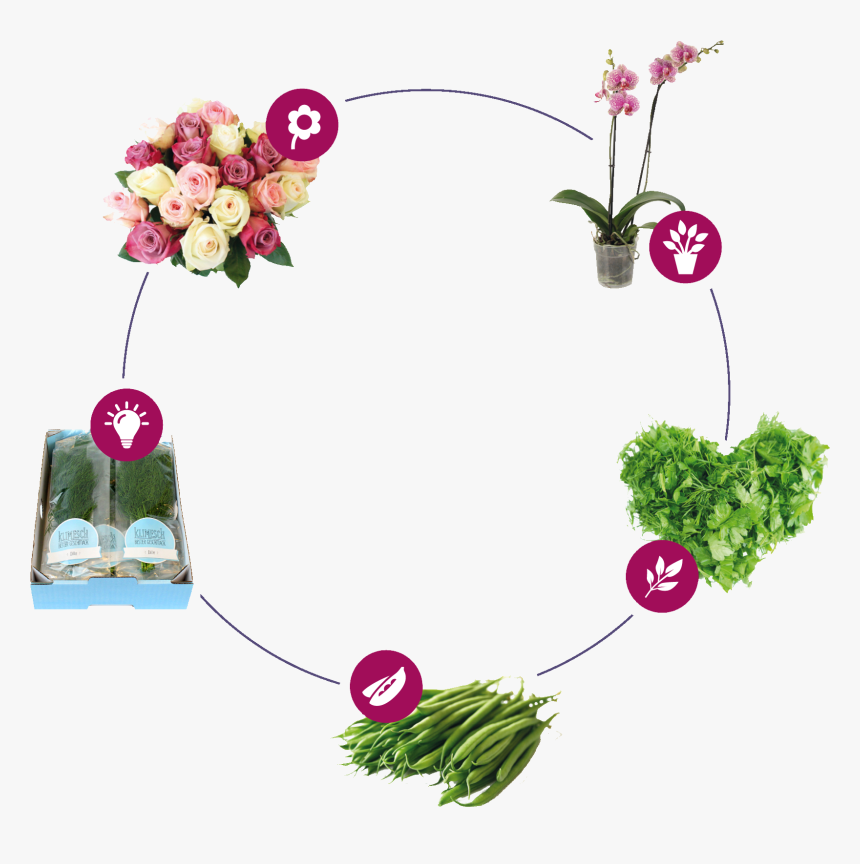 Bouquet, HD Png Download