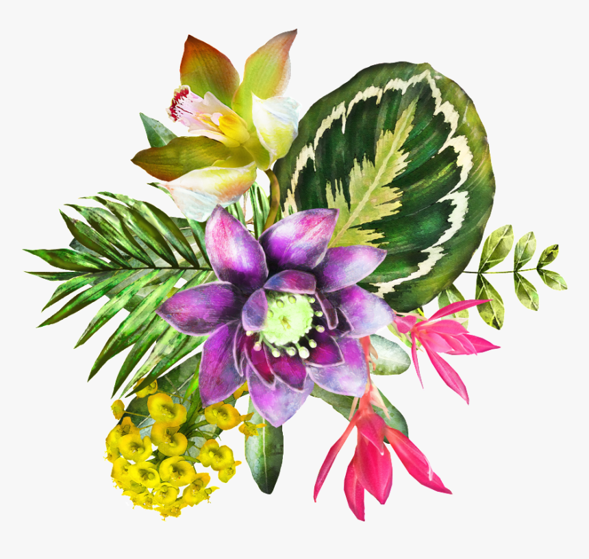 Transparent Watercolor Plants Png - Transparent Background Watercolour Plants, Png Download