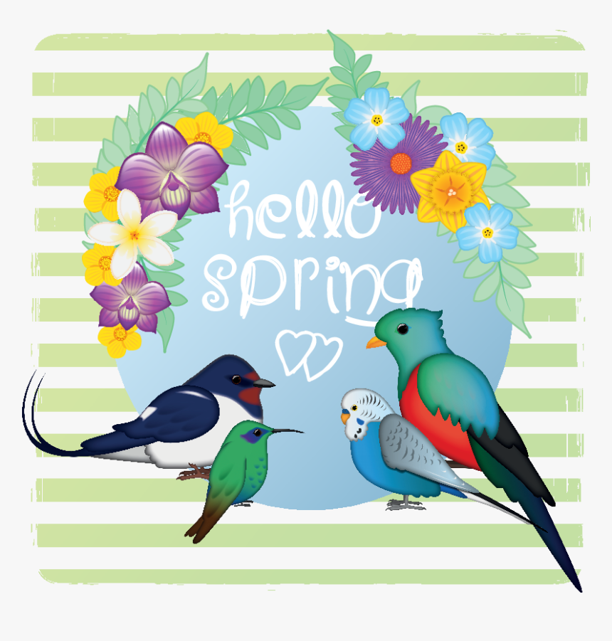 Swallow, HD Png Download