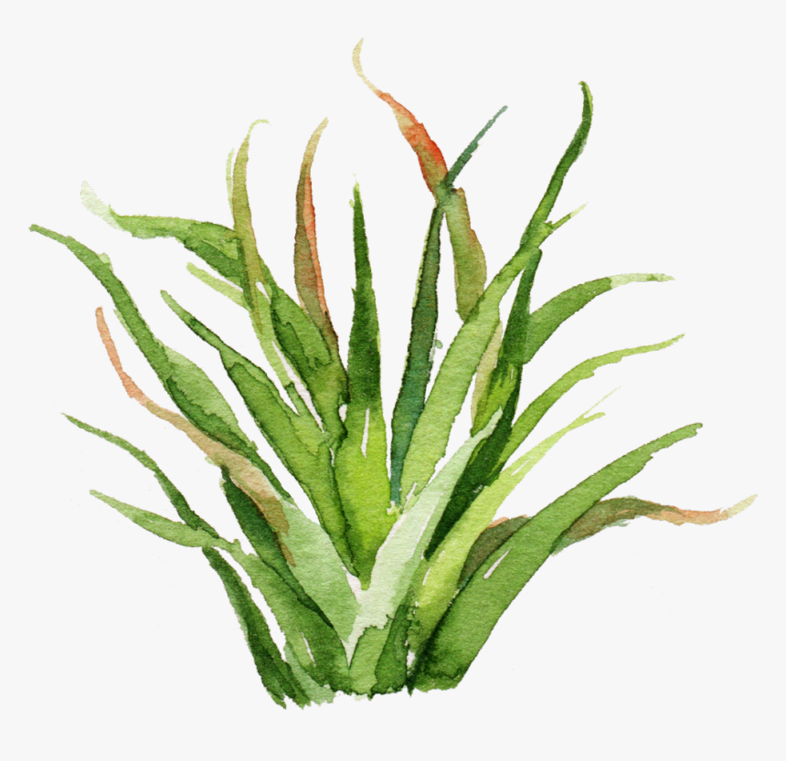 #green #watercolor #plant #painting #cute #weeds #aesthetic - Watercolor Plant Paintings, HD Png Download