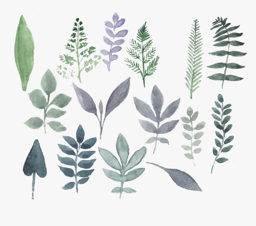 Flowers Watercolor Set Png - Watercolor Design Leaf Flower, Transparent Png