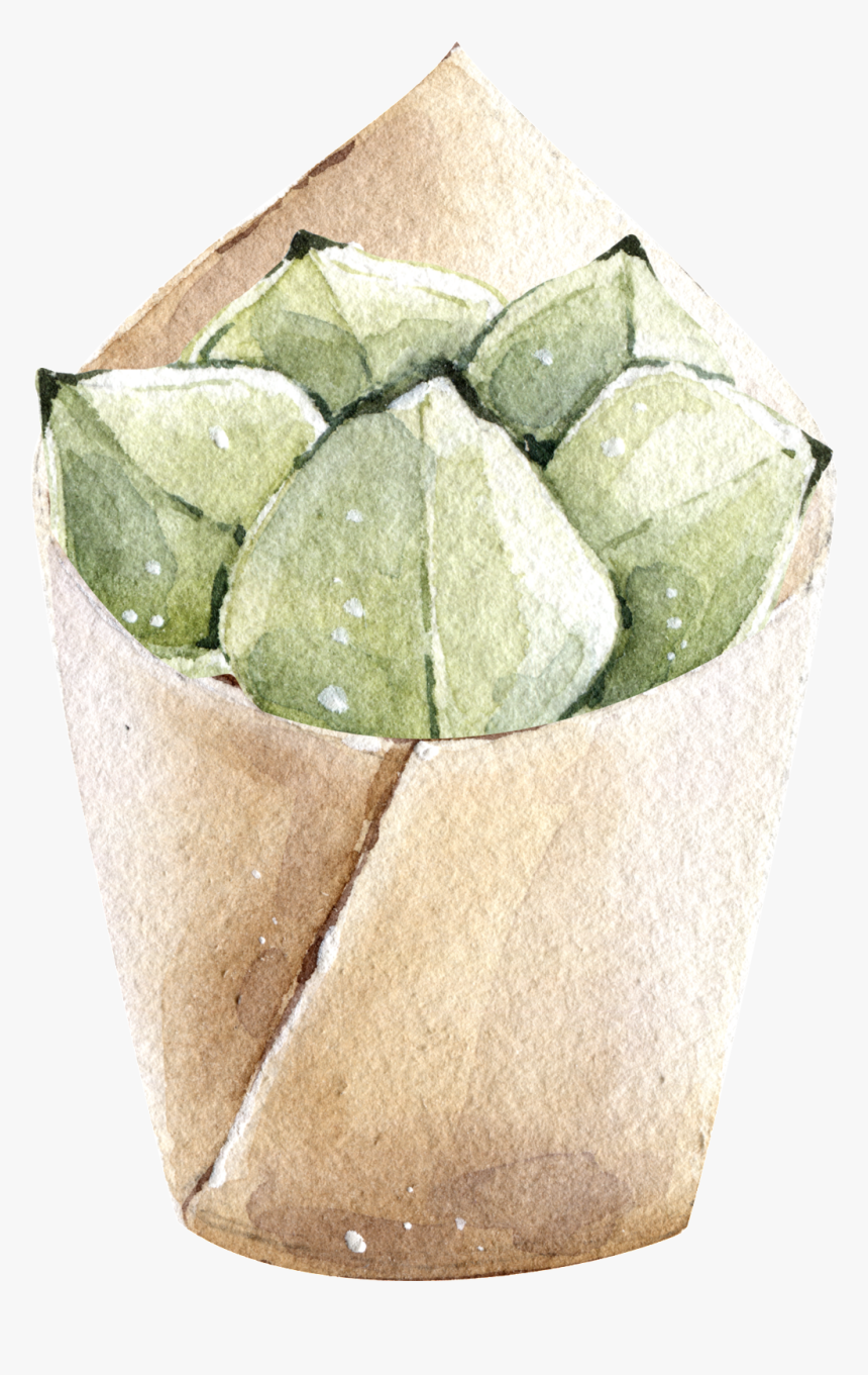 Transparent Potted Plant Png - Watercolor Potted Plants Png, Png Download