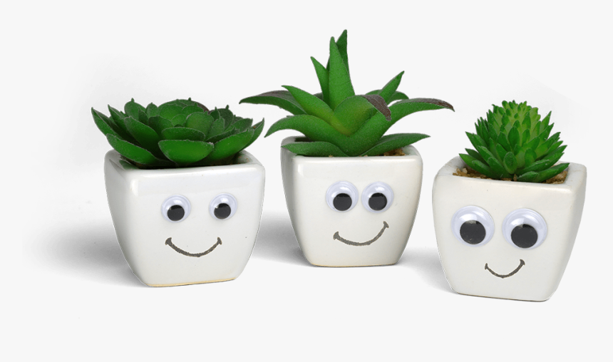 Transparent Happy Cartoon Eyes Png - Flowerpot, Png Download