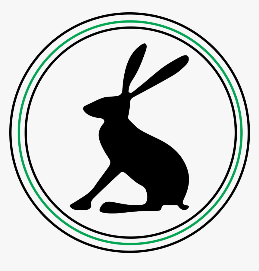 Domestic Rabbit, HD Png Download