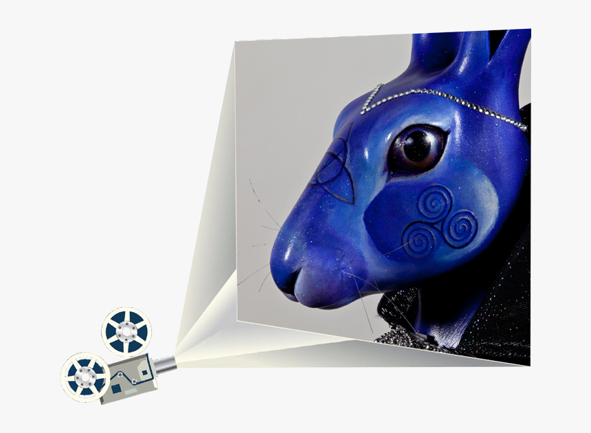 Armadillo, HD Png Download