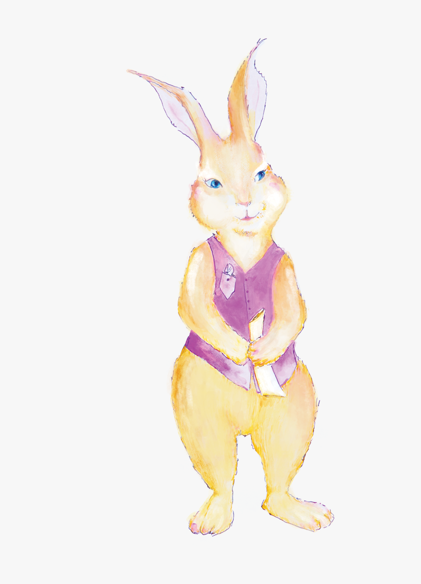 Domestic Rabbit, HD Png Download